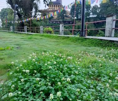 Ravangla Hotel | Hotel Ghakhel Delite
