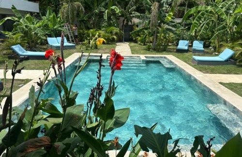 Coco Hotel | Hotel Good Life