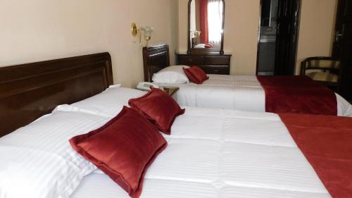 Potosi Hotel | Hotel Gran Libertador