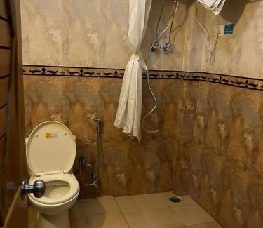 Kullu Hotel | Hotel green leaf kasol - by west western