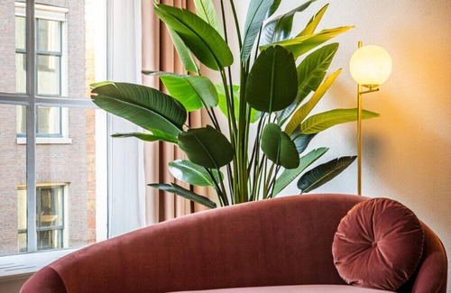 Binnenstad Hotel | Hotel Halbert