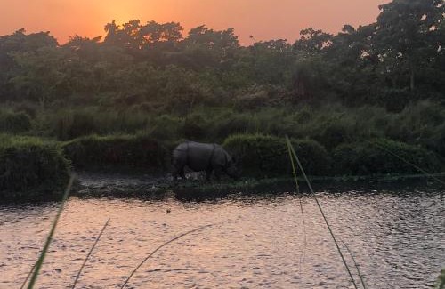 Sauraha Hotel | Hotel Happy Land