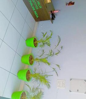 Rajpura Hotel | HOTEL HELIX - RAJPURA - Budget Rooms for Family, Couples, Solo Travellers