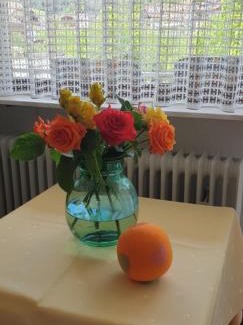 Enzklosterle Hotel | Hotel Hirsch mit Café Klösterle