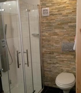 Menzenschwand-Hinterdorf Hotel | Hotel Hirschen