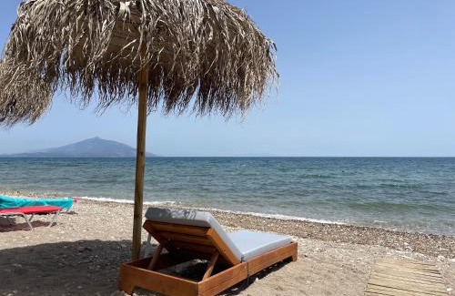Ireon Hotel | HOTEL IREON beach