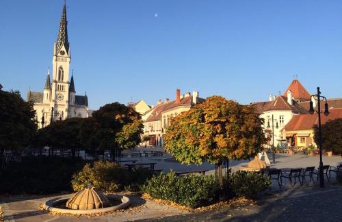 Koszeg Hotel | Hotel Irottkö