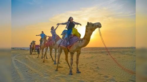 Jaisalmer Hotel | Hotel Jacky Palace