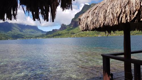 Cook's Bay Hotel | Hotel Kaveka