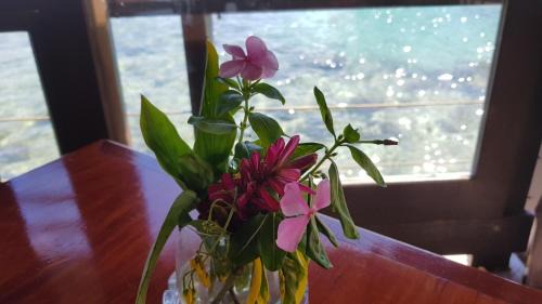 Cook's Bay Hotel | Hotel Kaveka