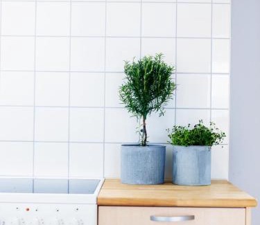 Simrishamn Hotel | Hotel Kockska Gården