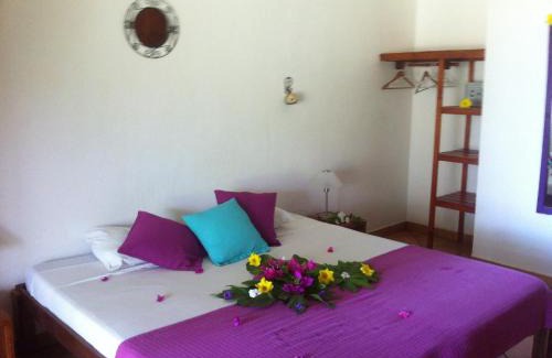 Tamarindo Hotel | Hotel Laguna del Cocodrilo