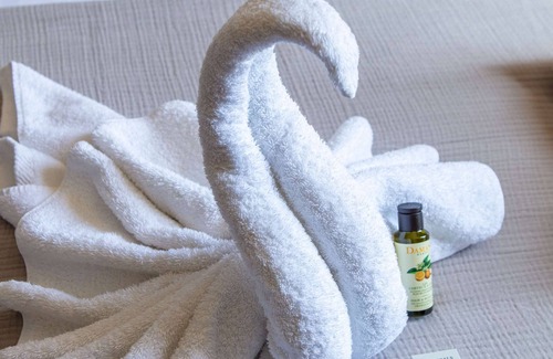 Auxerre Hotel | Hotel Le Maxime, BW Signature Collection