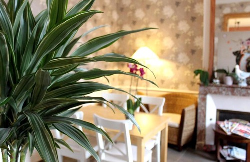 Illiers-Combray Hotel | Hotel Les Aubépines