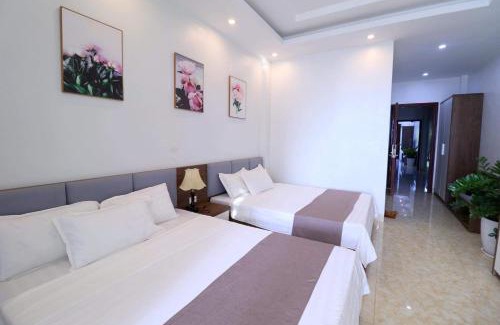 Co To Hotel | HOTEL LUXURY NGOC ANH