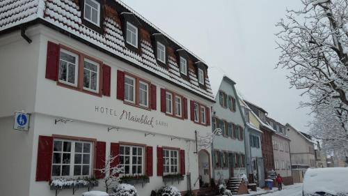 Marktheidenfeld Hotel | Hotel Mainblick Garni