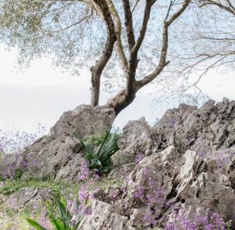 Arta Hotel | Hotel Marathia