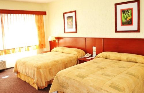 Historic Centre Hotel | Hotel Marcella Clase Ejecutiva