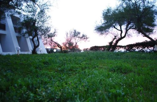 Algiers Hotel | Hotel Mazafran