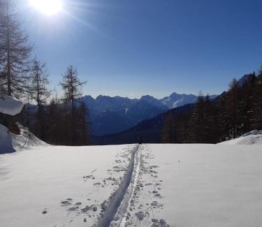 Valtournenche Hotel | Hotel Meublè Meridiana