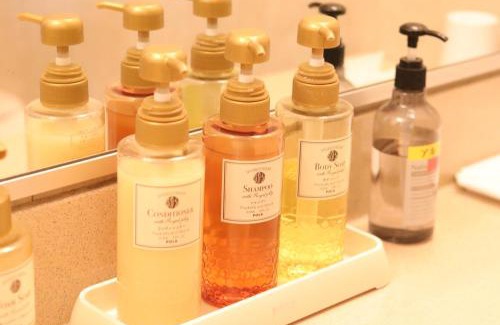 Matsumoto Hotel | Hotel Montagne Matsumoto - Vacation STAY 73668v