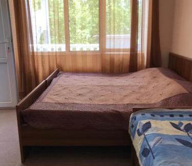 Magnetiti Hotel | Hotel Nino Ureki