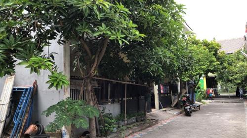 Sidoarjo Hotel | Hotel O Homestay Bu Sun SyariahNearTaman Rekreasi & Pemandian Taman Suruh