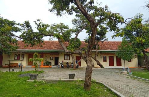 Pemalang Hotel | Hotel O Wulan Homestay 2 Syariah