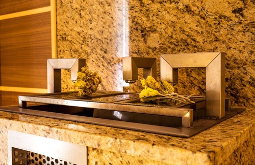 Pamporovo Hotel | Hotel Orlovetz