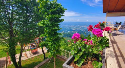 Dajt Hotel | Hotel Panorama Dajt
