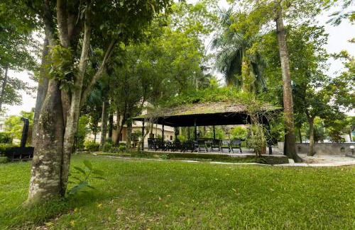 Sauraha Hotel | Hotel Parkside & Swimming Pool-Between Greenery and Azure ,Your Perfect Retreat