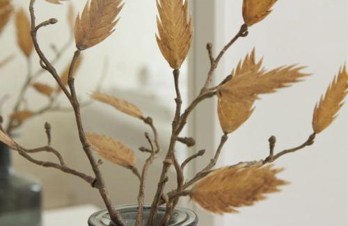 Josefstadt Bed & Breakfast | Hotel Pension ARPI