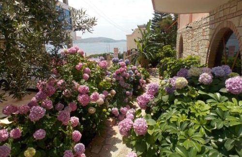 Kodrra Hotel | Hotel Piccolino