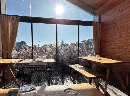 Monte Verde Hotel | Hotel Pico 16