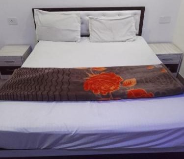 Shri Madhopur Hotel | hotel pink palace
