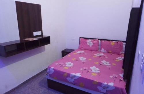 Shri Madhopur Hotel | hotel pink palace