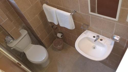 Leon Hotel | Hotel Plaza Aleman