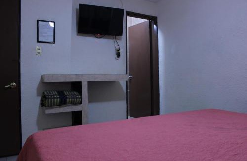 Leon Hotel | Hotel Plaza Aleman