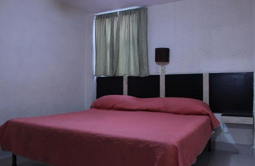 Leon Hotel | Hotel Plaza Aleman