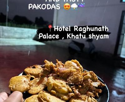 Sikar Hotel | Hotel Raghunath Palace