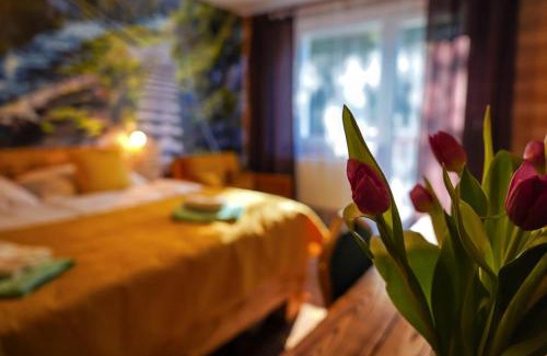Dobsinska Masa Hotel | Hotel Raj