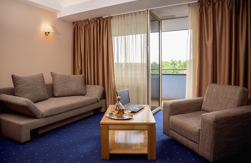 Timisoara Hotel | Hotel Reghina Blue