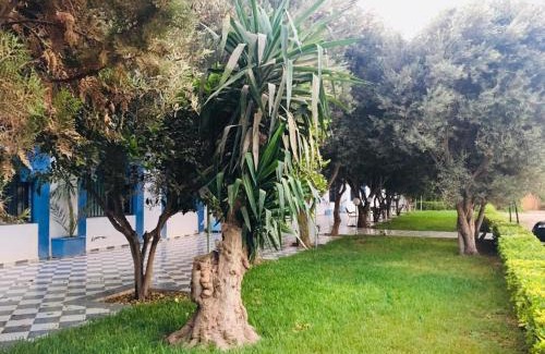 Ait Melloul Hotel | Hotel Ribis