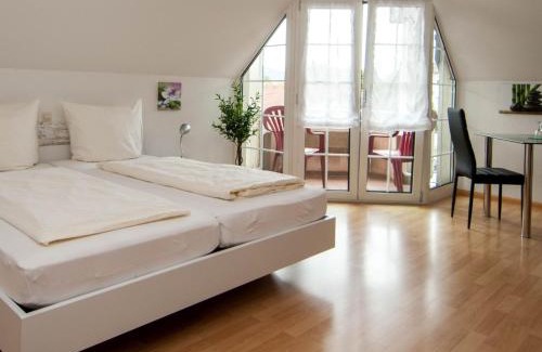 Bad Saeckingen Hotel | Hotel Scheffelhof