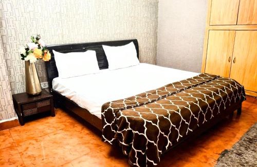 Hauz Khas Apartment | Hotel Star Blueberry's