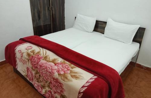 Hauz Khas Apartment | Hotel Star Blueberry's 1