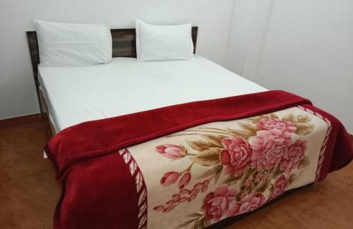 Hauz Khas Apartment | Hotel Star Blueberry's 1