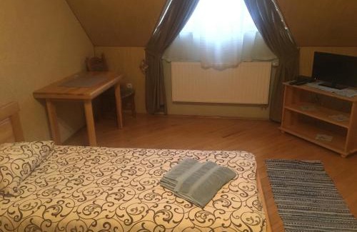 Nyzhnje Selyshche Hotel | Hotel Svitlytsia