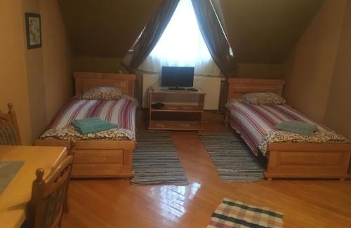 Nyzhnje Selyshche Hotel | Hotel Svitlytsia