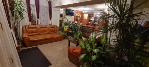 Barcanesti Hotel | Hotel SYM